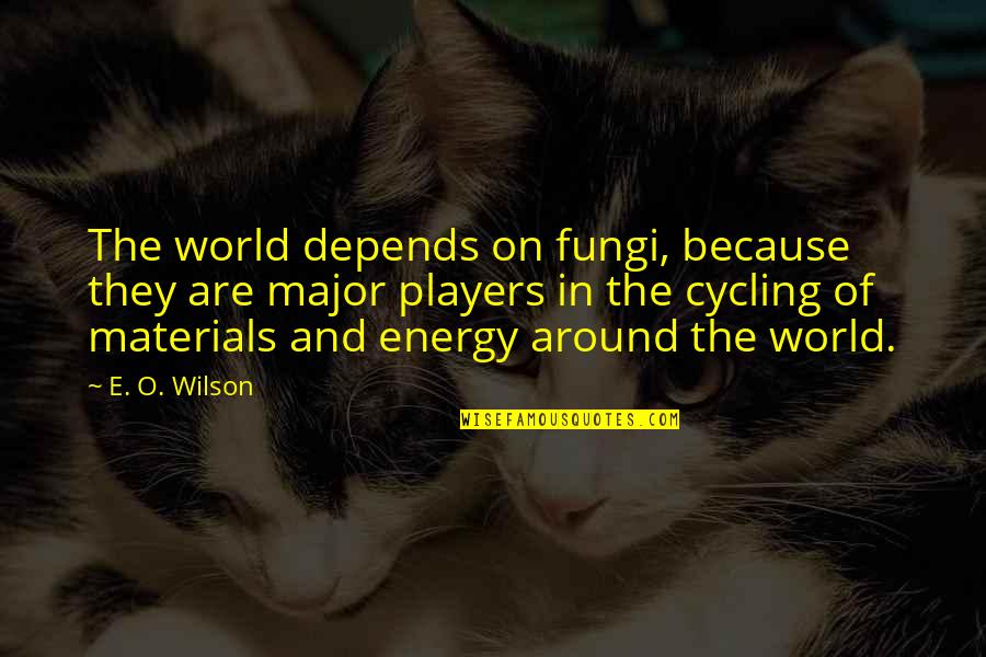 E World Quotes By E. O. Wilson: The world depends on fungi, because they are