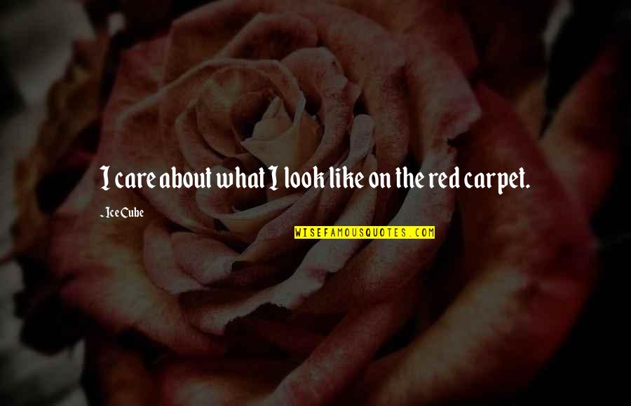 E71 Quotes By Ice Cube: I care about what I look like on