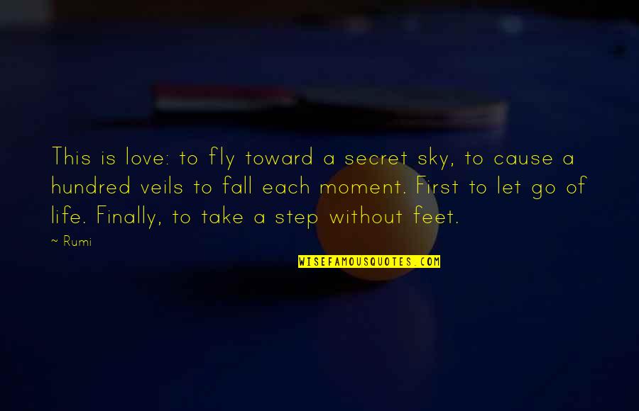 Each Day Love Quotes By Rumi: This is love: to fly toward a secret