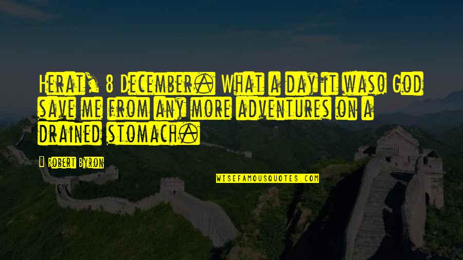Each Day Of December Quotes By Robert Byron: Herat, 8 December. What a day it was!