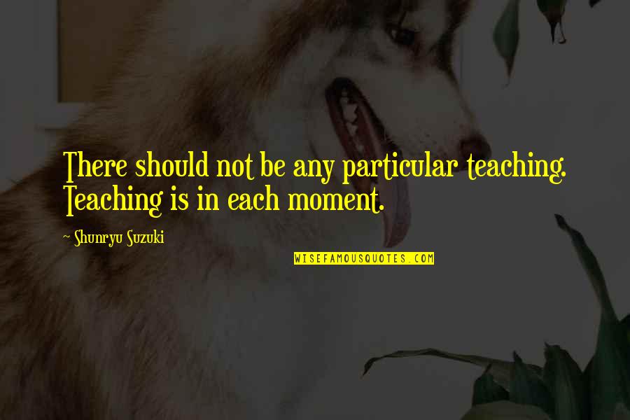 Each Moment Quotes By Shunryu Suzuki: There should not be any particular teaching. Teaching