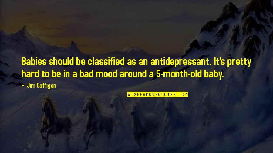 Each Month Quotes By Jim Gaffigan: Babies should be classified as an antidepressant. It's