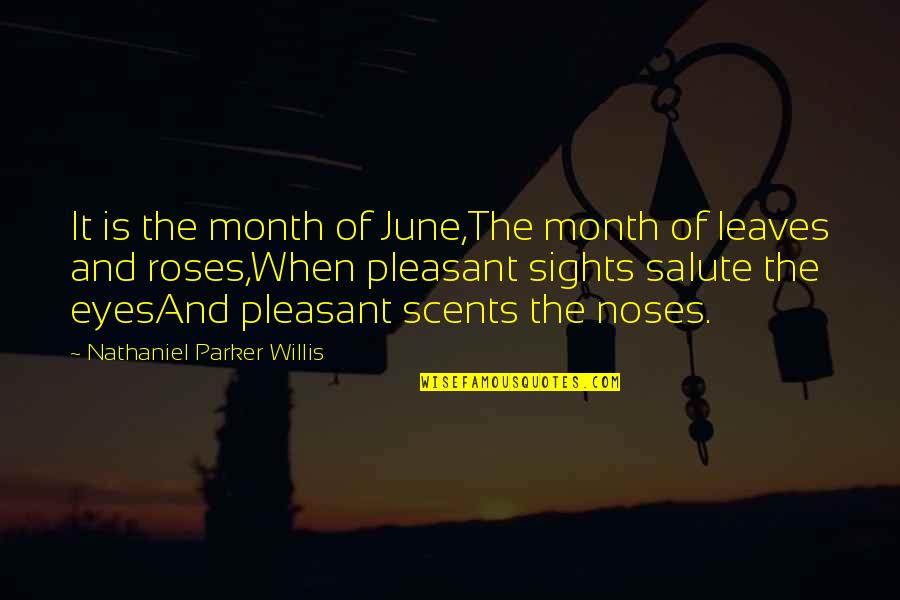 Each Month Quotes By Nathaniel Parker Willis: It is the month of June,The month of
