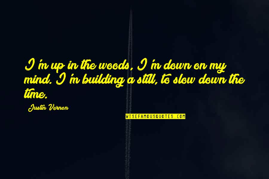 Eadelta Quotes By Justin Vernon: I'm up in the woods, I'm down on