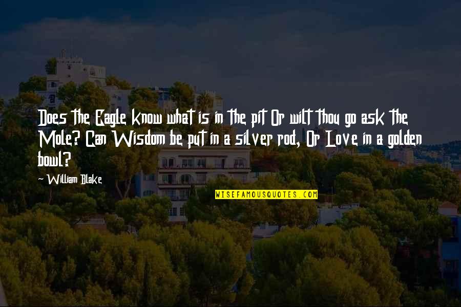 Eagle Love Quotes By William Blake: Does the Eagle know what is in the