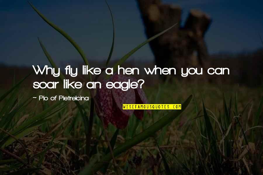 Eagle Quotes By Pio Of Pietrelcina: Why fly like a hen when you can