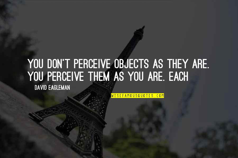 Eagleman Quotes By David Eagleman: You don't perceive objects as they are. You