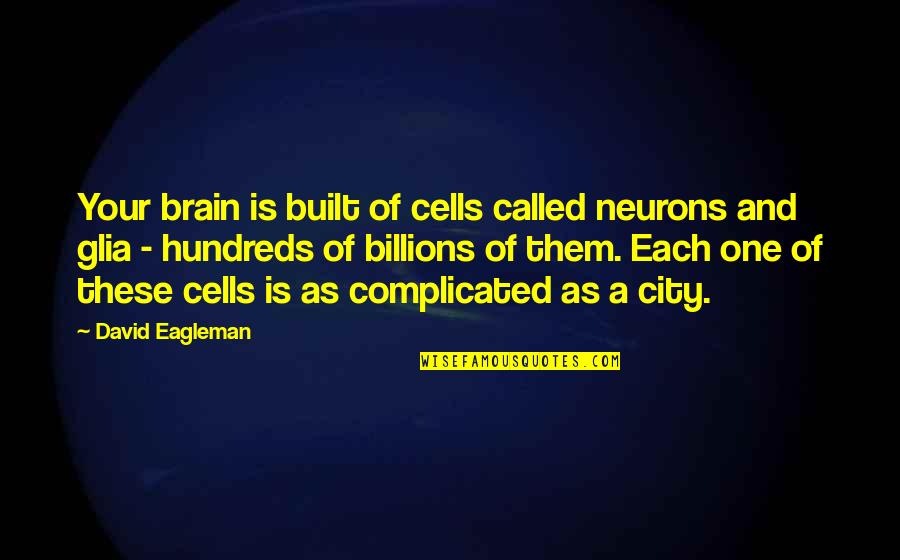 Eagleman Quotes By David Eagleman: Your brain is built of cells called neurons