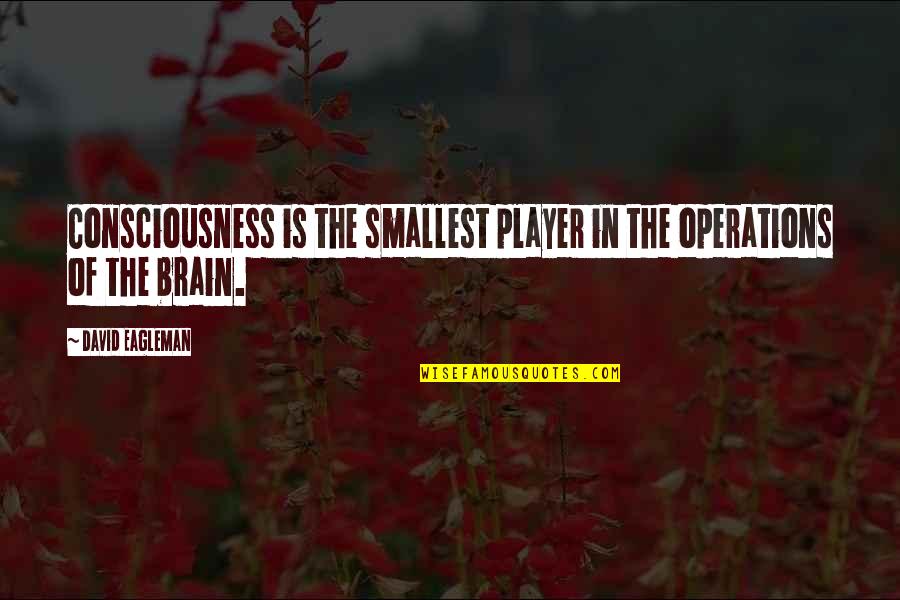 Eagleman Quotes By David Eagleman: Consciousness is the smallest player in the operations