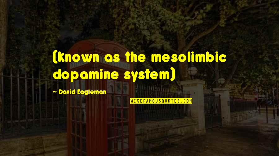 Eagleman Quotes By David Eagleman: (known as the mesolimbic dopamine system)