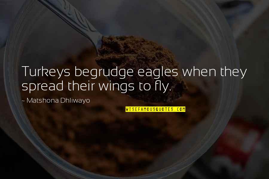 Eagles And Turkeys Quotes By Matshona Dhliwayo: Turkeys begrudge eagles when they spread their wings