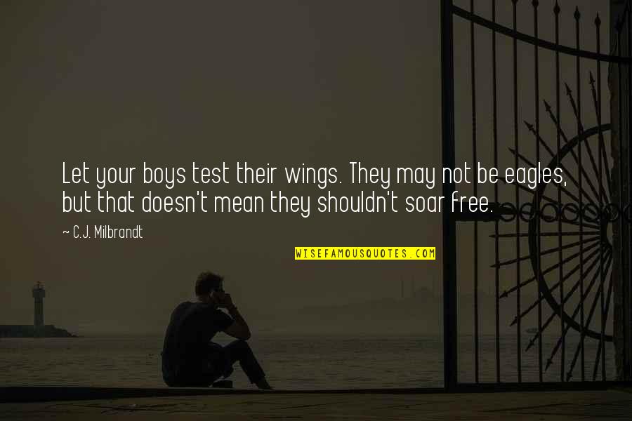Eagles Soar Quotes By C.J. Milbrandt: Let your boys test their wings. They may Eagles Soar Quotes By C.J. Milbrandt: Let your boys test their wings. They may