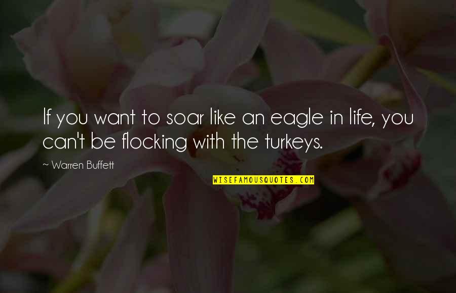 Eagles Soar Quotes By Warren Buffett: If you want to soar like an eagle