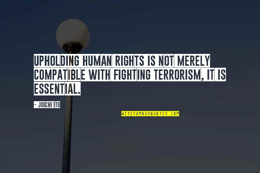 Eagles Vision Quotes By Joichi Ito: Upholding human rights is not merely compatible with