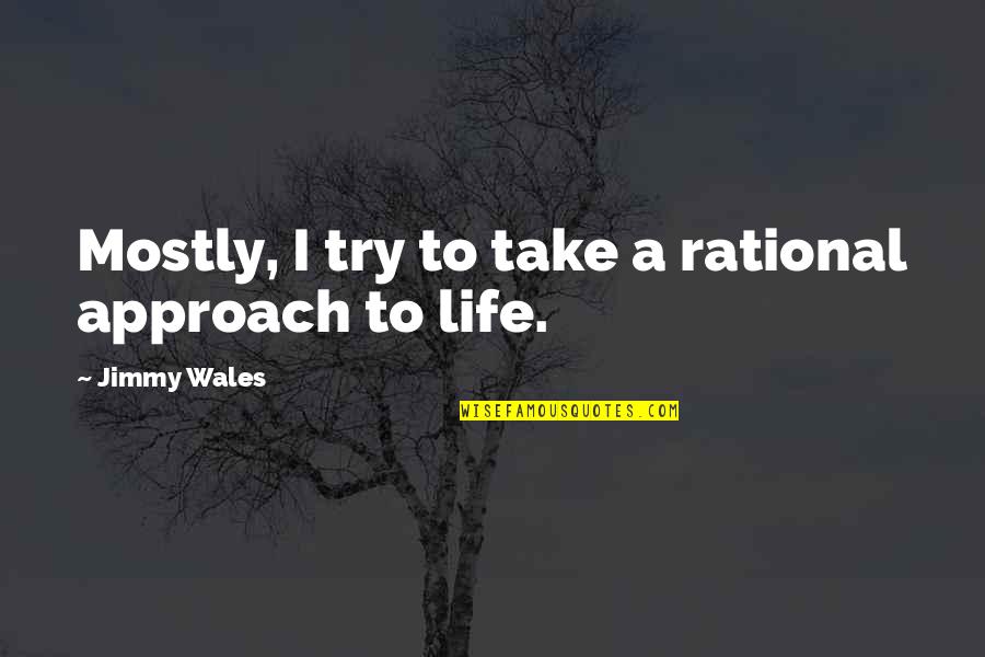 Eardrums Thickened Quotes By Jimmy Wales: Mostly, I try to take a rational approach
