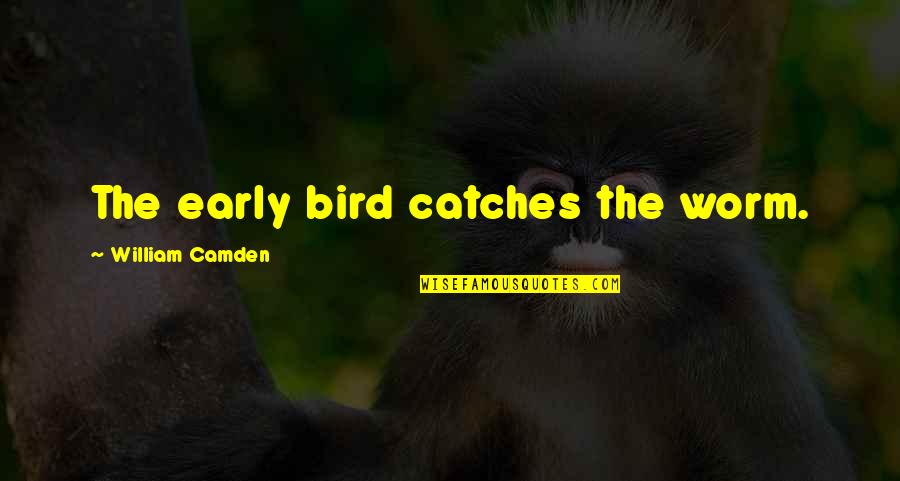 Early Bird Catches The Worm Quotes By William Camden: The early bird catches the worm.