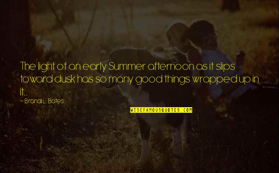 Early Summer Quotes By Brandi L. Bates: The light of an early Summer afternoon as