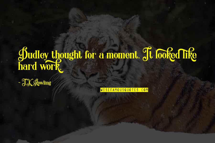 Early Winter Morning Quotes By J.K. Rowling: Dudley thought for a moment. It looked like