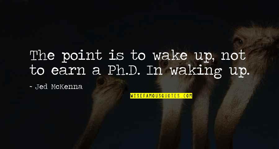 Earn'd Quotes By Jed McKenna: The point is to wake up, not to