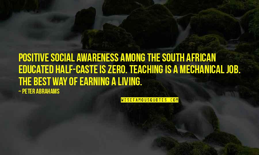 Earning Your Way Quotes By Peter Abrahams: Positive social awareness among the South African educated