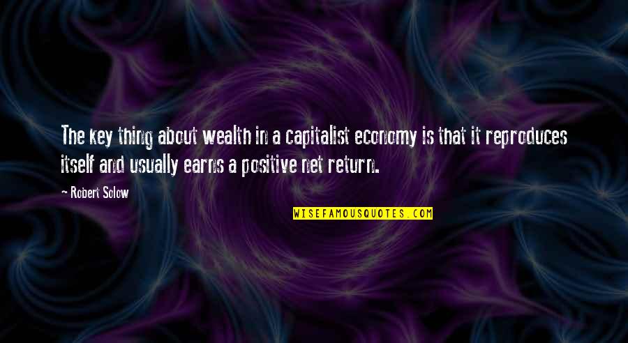 Earns Quotes By Robert Solow: The key thing about wealth in a capitalist