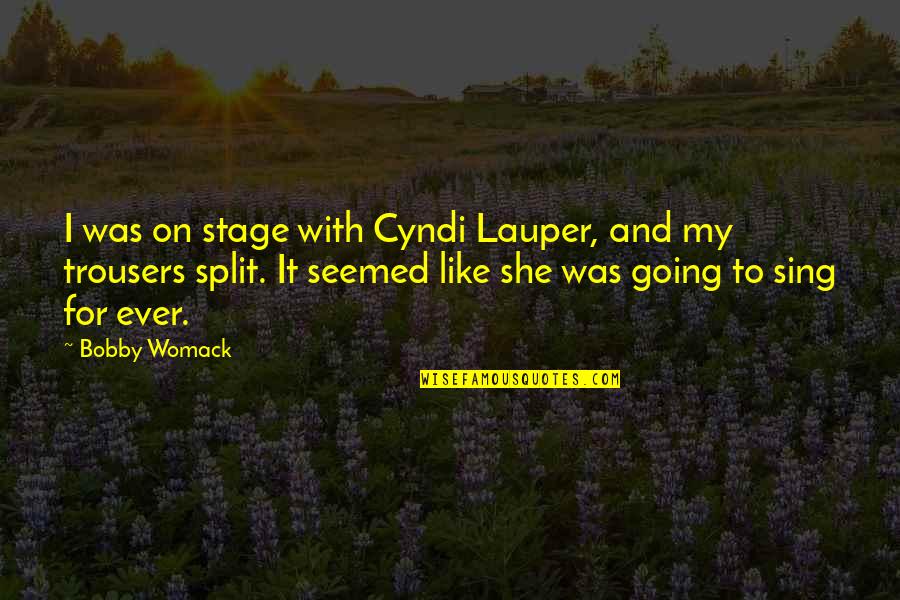 Earnst Hardware Quotes By Bobby Womack: I was on stage with Cyndi Lauper, and