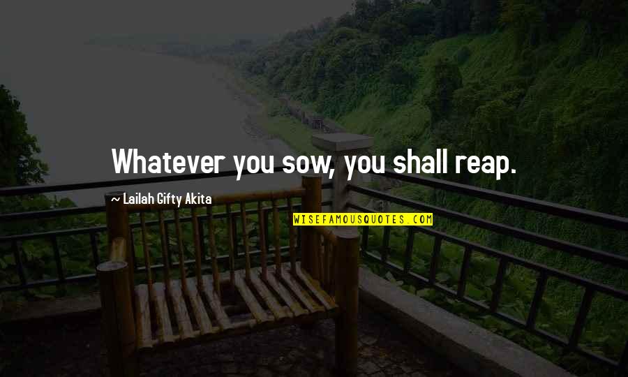 Earth Air Fire Water Quotes By Lailah Gifty Akita: Whatever you sow, you shall reap.