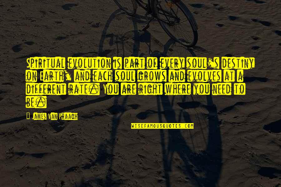 Earth And Soul Quotes By James Van Praagh: Spiritual evolution is part of every soul's destiny Earth And Soul Quotes By James Van Praagh: Spiritual evolution is part of every soul's destiny