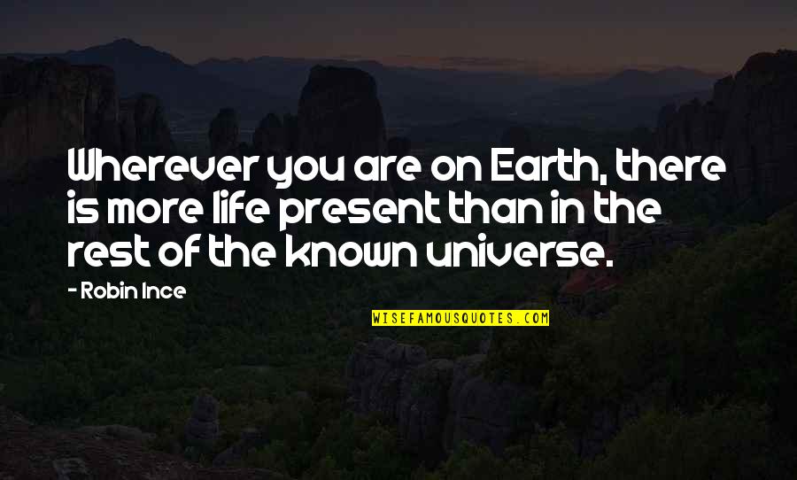 Earth And Universe Quotes By Robin Ince: Wherever you are on Earth, there is more