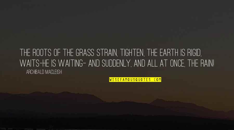 Earth And Water Quotes By Archibald MacLeish: The roots of the grass strain, Tighten, the