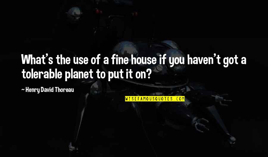 Earth Environment Quotes By Henry David Thoreau: What's the use of a fine house if