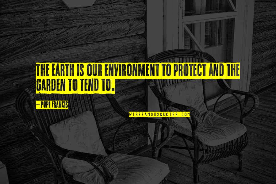 Earth Environment Quotes By Pope Francis: The Earth is our environment to protect and