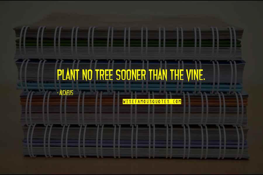 Earth Mother Herbs Quotes By Alcaeus: Plant no tree sooner than the vine.