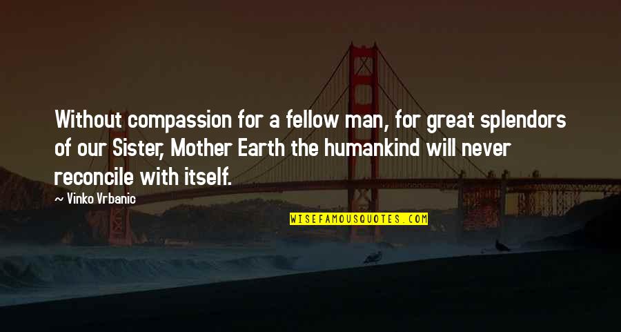 Earth Mother Quotes By Vinko Vrbanic: Without compassion for a fellow man, for great