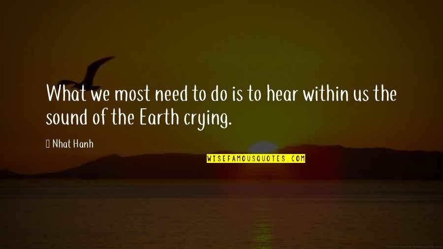 Earth Nature Quotes By Nhat Hanh: What we most need to do is to
