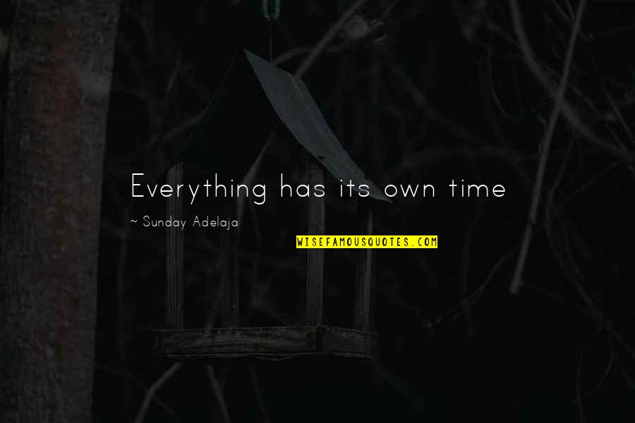 Earth Not For Sale Quotes By Sunday Adelaja: Everything has its own time