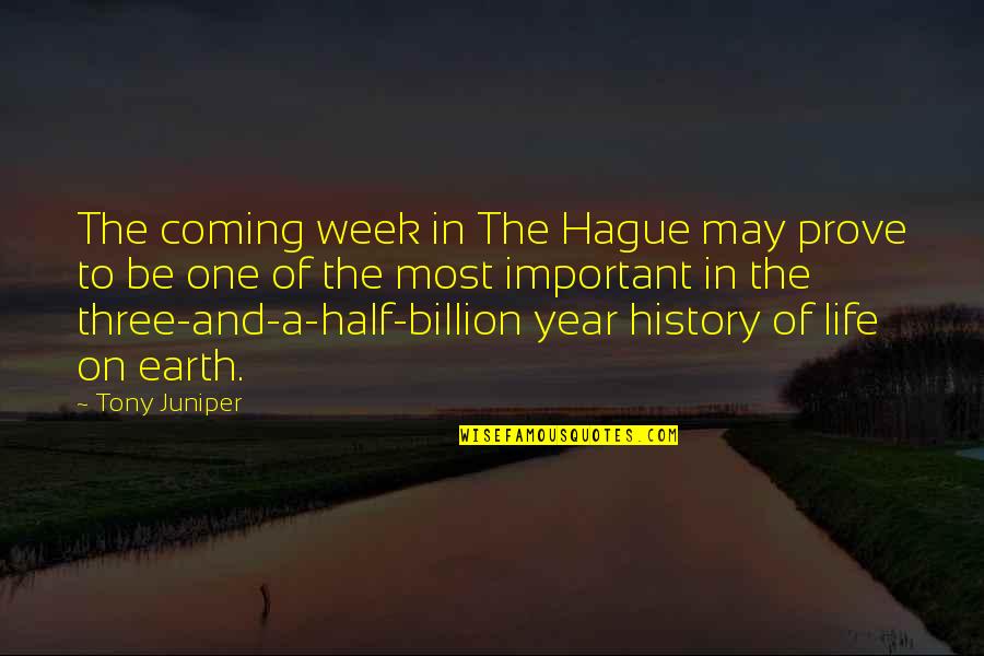 Earth One Quotes By Tony Juniper: The coming week in The Hague may prove