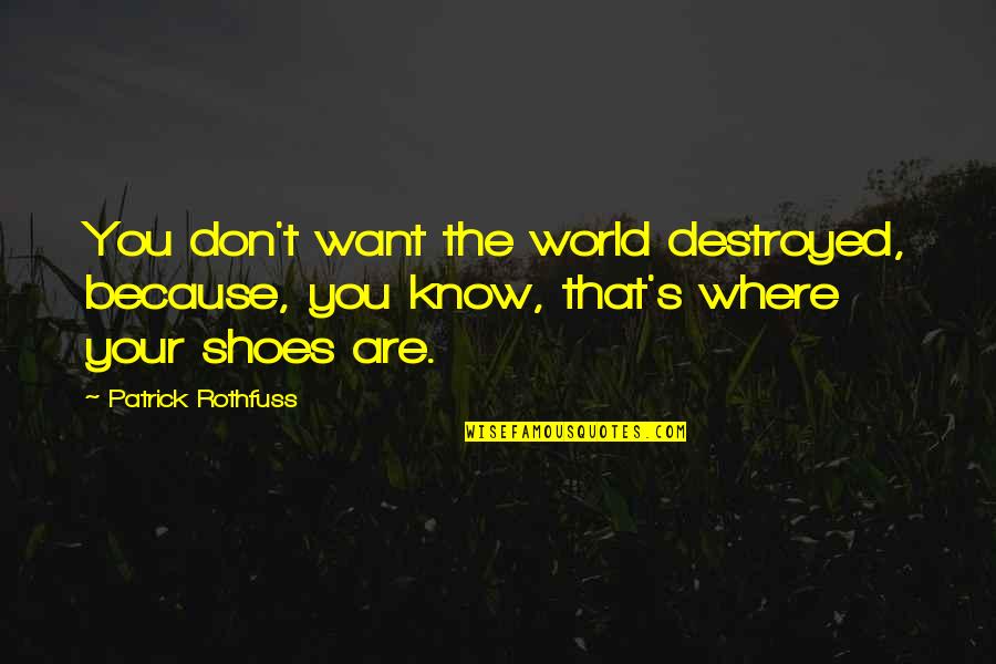 Earth Vibration Quotes By Patrick Rothfuss: You don't want the world destroyed, because, you Earth Vibration Quotes By Patrick Rothfuss: You don't want the world destroyed, because, you