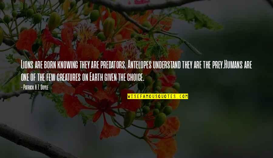 Earth Was Given Quotes By Patrick H.T. Doyle: Lions are born knowing they are predators. Antelopes Earth Was Given Quotes By Patrick H.T. Doyle: Lions are born knowing they are predators. Antelopes