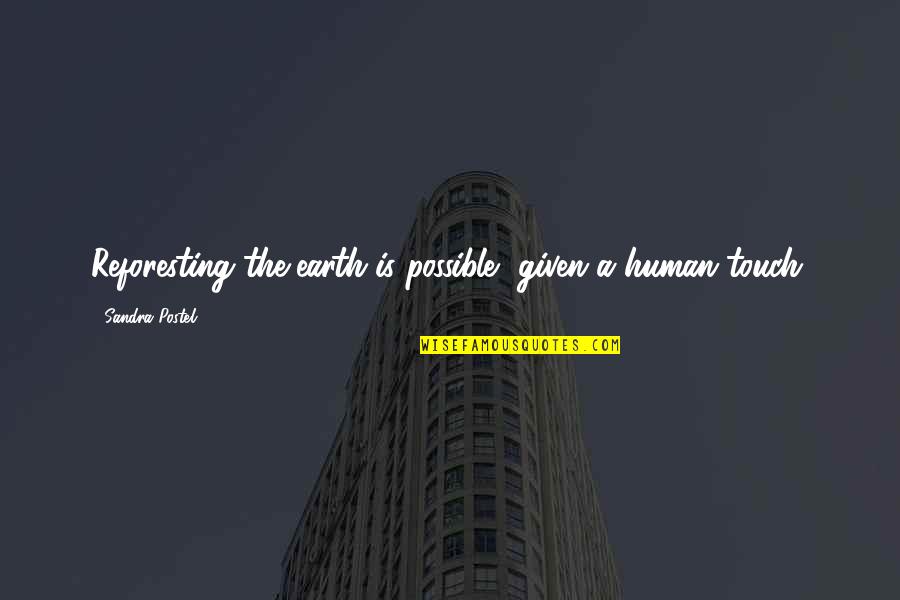 Earth Was Given Quotes By Sandra Postel: Reforesting the earth is possible, given a human Earth Was Given Quotes By Sandra Postel: Reforesting the earth is possible, given a human
