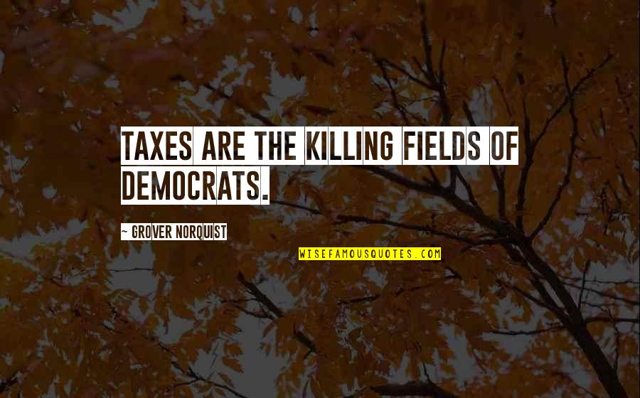 Earthkeepers Boots Quotes By Grover Norquist: Taxes are the killing fields of Democrats.