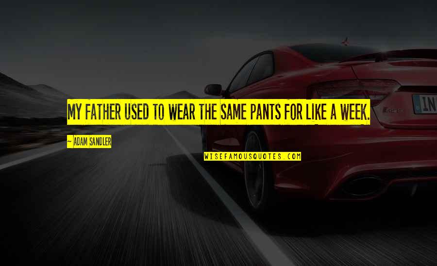 Earthly Angels Quotes By Adam Sandler: My father used to wear the same pants