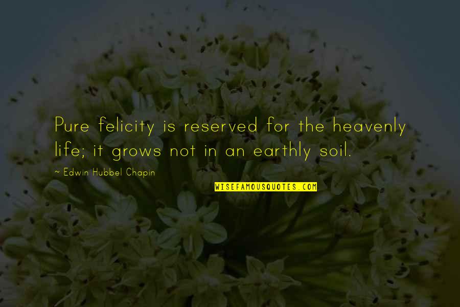 Earthly Life Quotes By Edwin Hubbel Chapin: Pure felicity is reserved for the heavenly life;