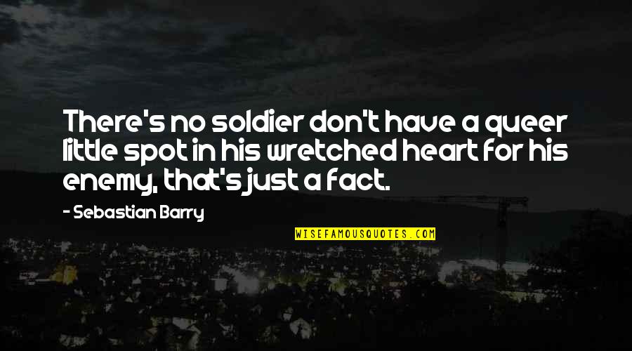 Earthly Love Quotes By Sebastian Barry: There's no soldier don't have a queer little