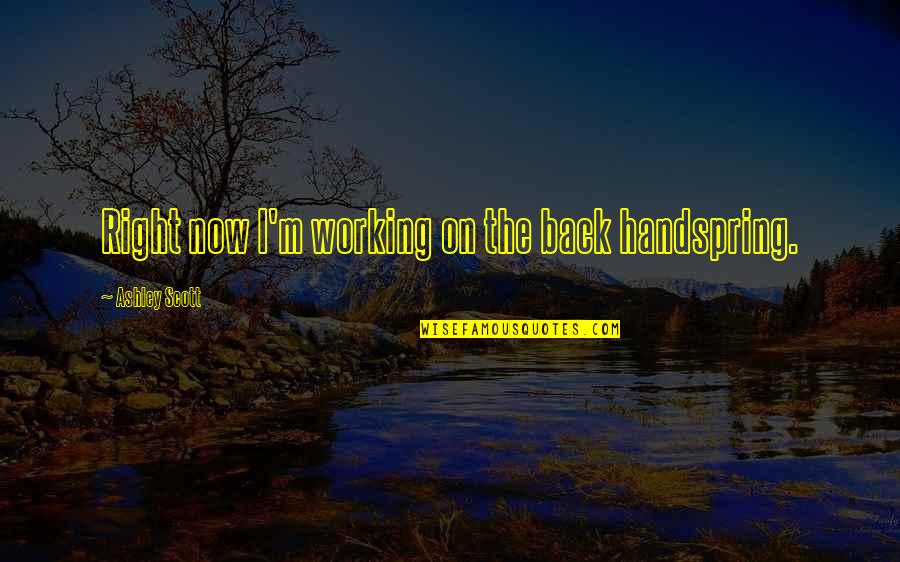Earthquake In Islam Quotes By Ashley Scott: Right now I'm working on the back handspring.