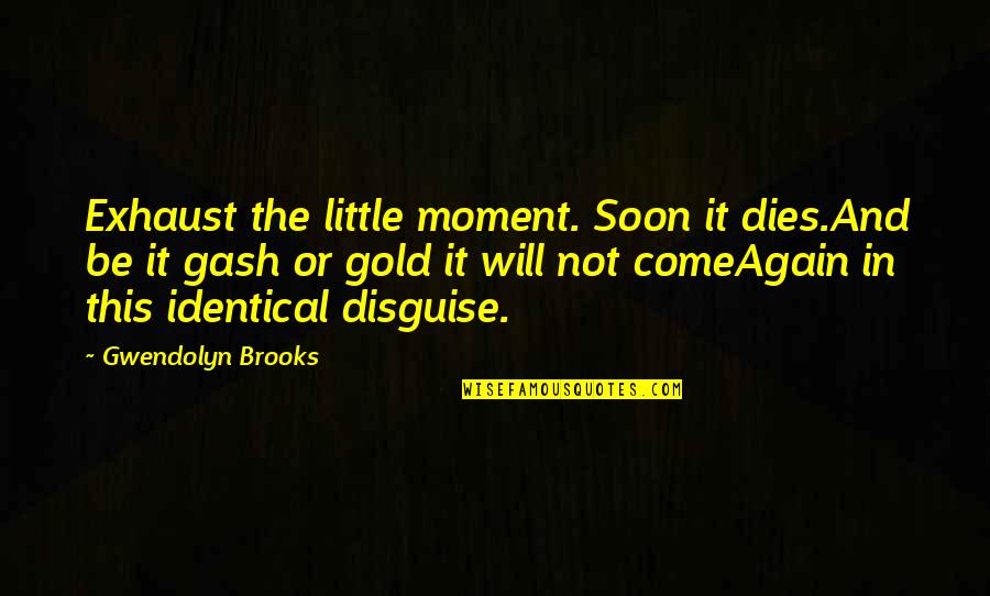 Earthwise Bags Quotes By Gwendolyn Brooks: Exhaust the little moment. Soon it dies.And be