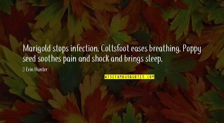 Eases The Pain Quotes By Erin Hunter: Marigold stops infection. Coltsfoot eases breathing. Poppy seed