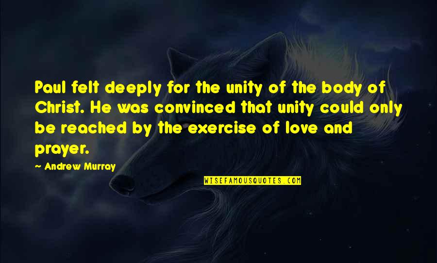 Easing Stress Quotes By Andrew Murray: Paul felt deeply for the unity of the