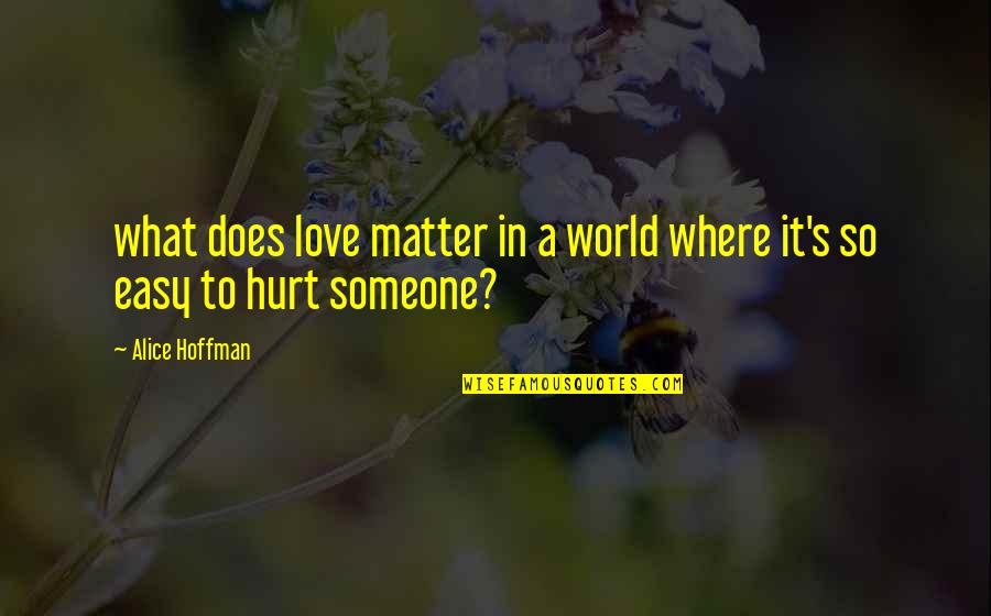 Easy Does It Quotes By Alice Hoffman: what does love matter in a world where