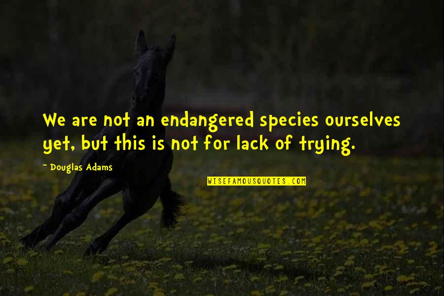 Easy Famous Movie Quotes By Douglas Adams: We are not an endangered species ourselves yet,